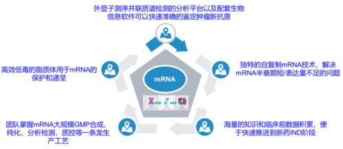 創(chuàng)新競爭2.0 國內(nèi)頭部藥企如何借力計算機網(wǎng)絡科技重塑研發(fā)格局